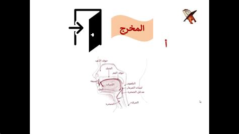 تعلم قراءة القرآن وقواعد التجويد مخارج الحروف مقدمة Youtube