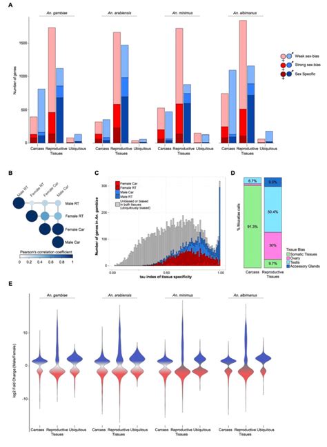 Sex Biased Gene Expression In The Anopheles Genus A Total Number Of