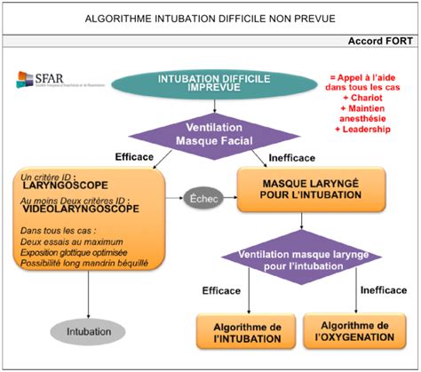 L Intubation Difficile Definition Et Algorithmes Module De Formation