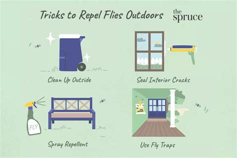 How To Get Rid Of Flies Clearance Cityofclovis Org