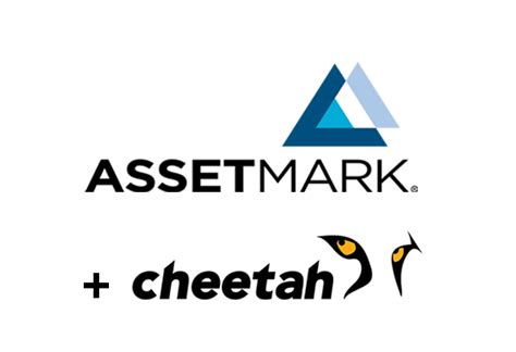 Assetmark Cheetah