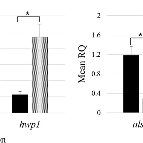 Growth Of Irradiated C Albicans And S Mutans Under Single And Download Scientific Diagram