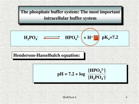 Ppt Buffer Systems Of The Body Powerpoint Presentation Free Download Id 9427787