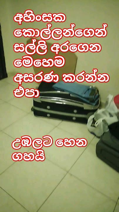 මහන්සි වෙලා සල්ලි හොයපල්ලා මේ වගේ කැත වැඩ කරන්න එපා Kalumvolgs Kalum Dubai Sorts Arabic Youtube