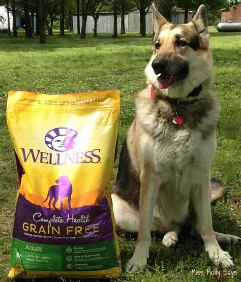 Wellness Complete Health Grain-Free Dog Food for Complete Well-Being ...