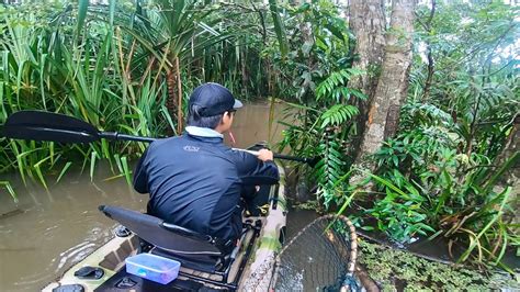 MENCOBA MENCARI TOMAN DI RAWA RAWA TENGAH HUTAN FISHING CAMPING