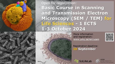 Basic Course In Scanning And Transmission Electron Microscopy SEM TEM