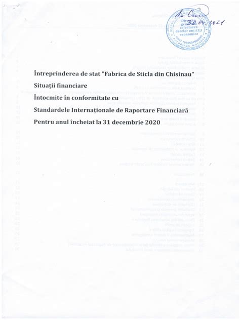 Situatiile Financiare 2020 Pdf