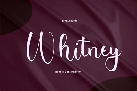 Whitney Font | Synthetic Type | FontSpace