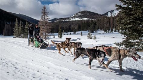 Dog Sled Rides - Buena Vista & Salida, Colorado