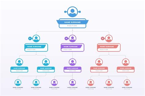 Organigramme Template Vecteurs Et Psd Gratuits T L Charger