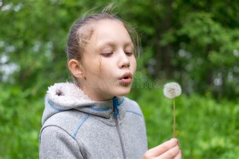 Little Girl Blowing On A Dandelion Stock Photo Image Of Outside