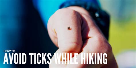 How To Prevent And Avoid Ticks While Hiking Expert Tips