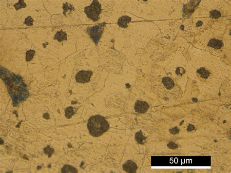 Optical Micrograph Of A Nodular Cast Iron Sample Download Scientific