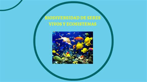 Biodiversidad De Seres Vivos By