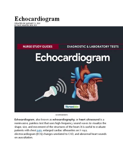 Echocardiogram Guide: Types, Procedure, Results | PDF ...