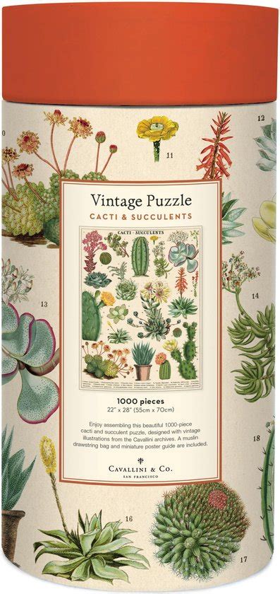 Cavallini Co Vintage Puzzel Cacti Succulents Bol