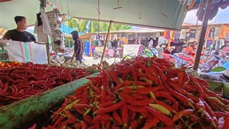 Masuk Musim Panen Harga Cabai Di Kota Tarakan Turun Sampai Rp Ribu