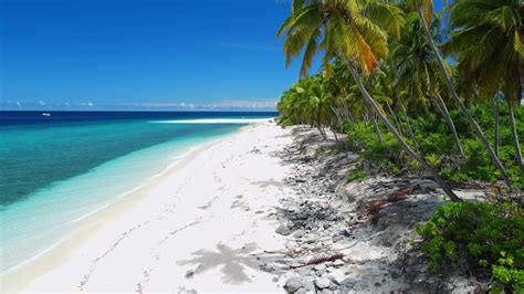 Maldives Island Beach Stock Video Footage for Free Download