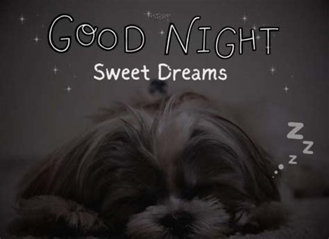 Adorable Good Night Card. Free Good Night eCards, Greeting Cards | 123 ...