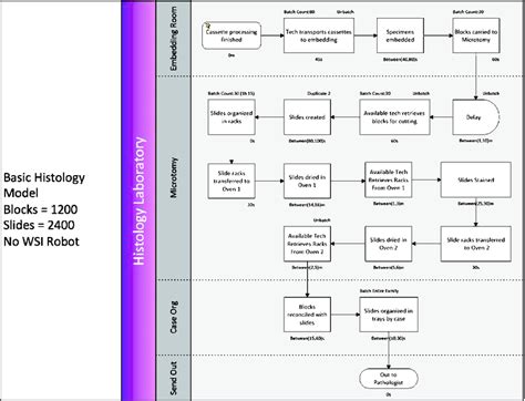 Baseline Clinical Histology Laboratory Process Model In Igrafx ® 2011