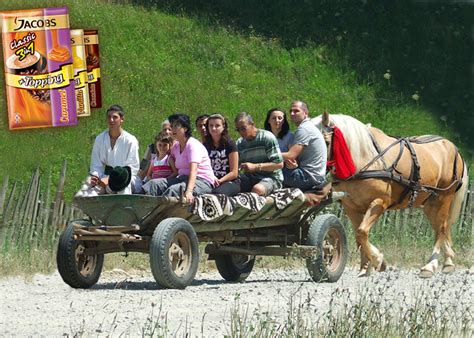 Bucurie la sate Românii au lansat prima căruţă sport care are caii în