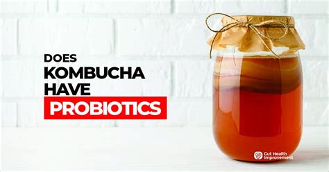 Does Kombucha Have Probiotics? (Good For Gut Health?)