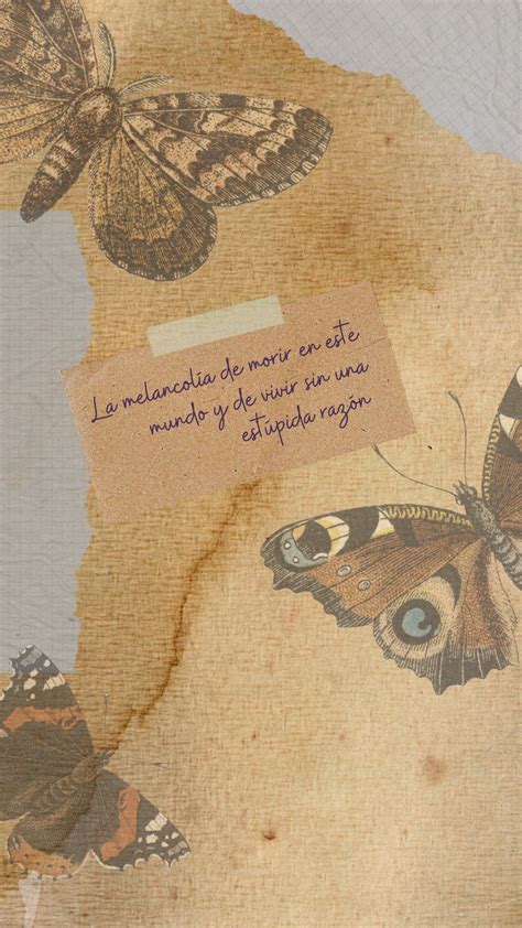 mariposa canción mariposateknicolor fitopaez collage Collage