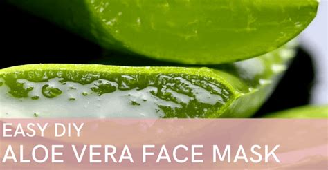 Homemade Diy Aloe Vera Face Mask Recipe Massage Gear Guru