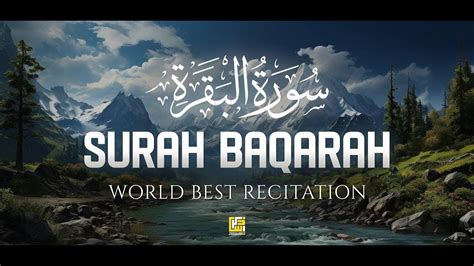 Surah Al Baqarah Full Quick Recitation By Sheikh Mishary Al Afasy سورة البقرة كاملة Youtube