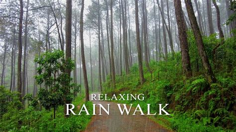 Walking In Heavy Rain Jagadol Park Shivapuri Hiking Point Kathmandu