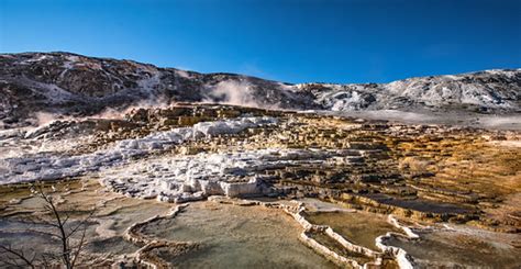 One Steppe At A Time Yellowstone National Park Mammoth Ho Flickr