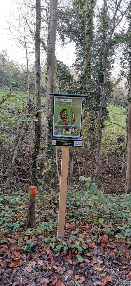 Projekte Im Landkreis Wildbienen Lehrpfad Naturp Dagogik Ahlborn