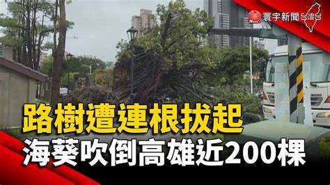 路樹遭連根拔起 海葵吹倒高雄近200棵｜寰宇新聞 Globalnewstw Youtube