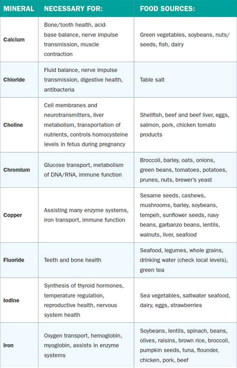 Taller Evaluativo Carbohidratos Pdf Free Download Artofit