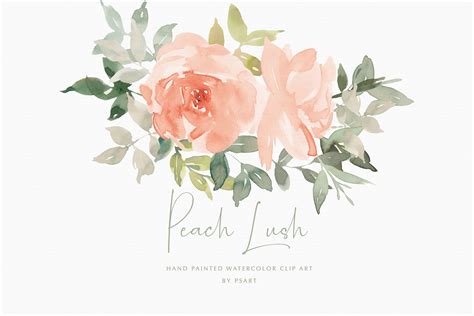 Watercolor Blush Floral Clipart Set By Patishop Art TheHungryJPEG