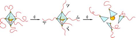 Universität Düsseldorf Mechanochemical Activation and Release of