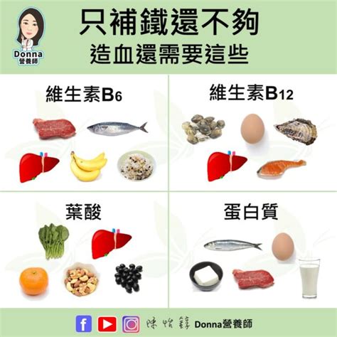 遠離缺鐵性貧血！營養師的補鐵食譜大公開！ Donna陳怡錞｜治本保健營養專家