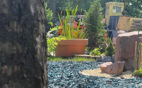 У Києві запускають пілотний проєкт створення водних садів - Вечірній Київ