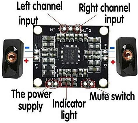 Pam Digital Stereo Class D Amplifier Board X W Output At Rs