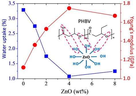 Polymers Free Full Text Modification And Potential Application Of