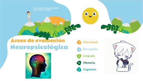 Evaluaci N Neuropsicol Gica