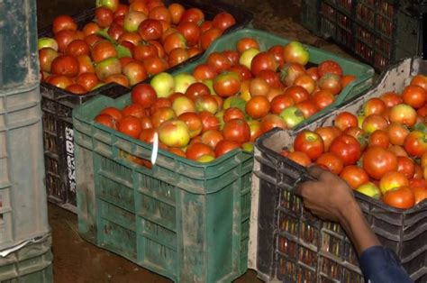 Tomato Prices Hike अचानक क्यों बढ़ गए टमाटर के दाम जानें बेंगलुरु दिल्ली में क्या है रेट