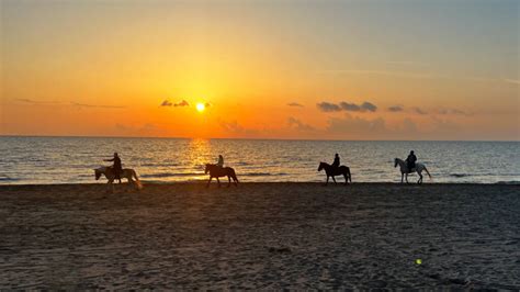 Regali Per San Valentino Regala Una Passeggiata A Cavallo A Napoli