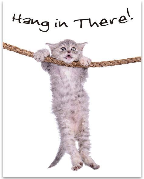 Hang In There Wallpaper