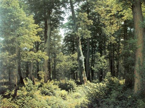 Olga Tuleninova on Twitter Robert Zünd Oak Forest 1882 Oil on