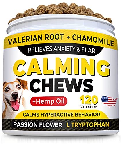 The 18 Best Calming Dog Treats for Stress and Anxiety Relief