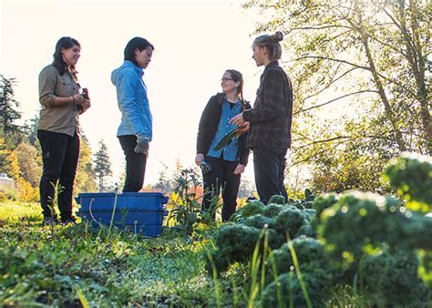 Applications Open For The Ubc Wellbeing Strategic Initiative Fund Ubc