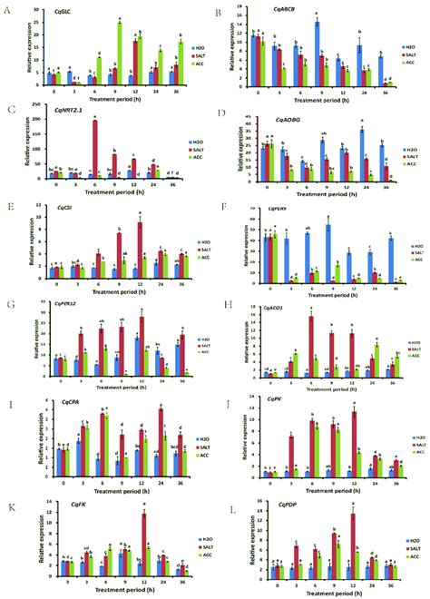 Gene Expression Verification By Qrt Pcr The Expressions Of Cqglc A