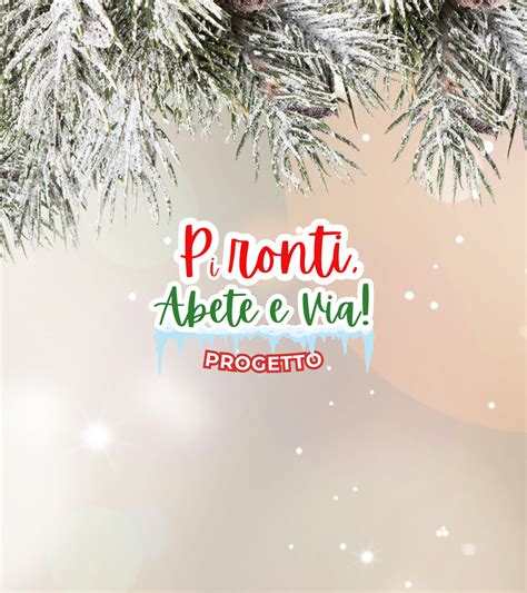 Pironti Abete E Via Vivaio Pironti Piante Fiori